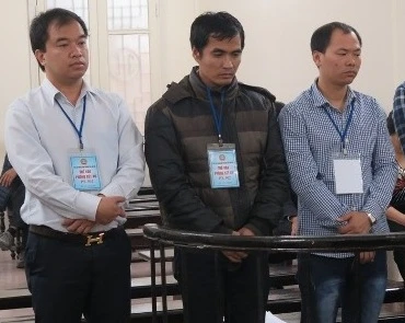 Tổng giám đốc vào tù vì phá hủy vườn cây