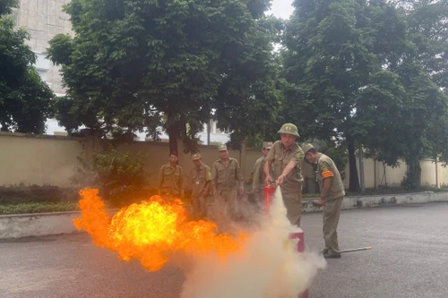 Trang bị kiến thức quý cho đội ngũ cán bộ cơ sở phường Việt Hưng