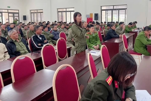 Triển khai 36 tổ công tác với gần 500 đội viên rà soát, làm sạch dữ liệu đăng ký phương tiện, giấy phép lái xe