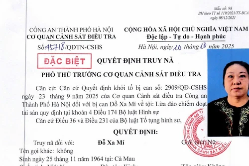 Truy nã đặc biệt bị can Đỗ Xa Mí về tội lừa đảo