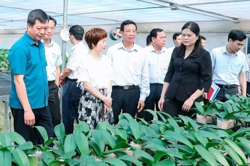 Những mô hình hay góp phần giữ vững an ninh, trật tự trong mọi tình huống