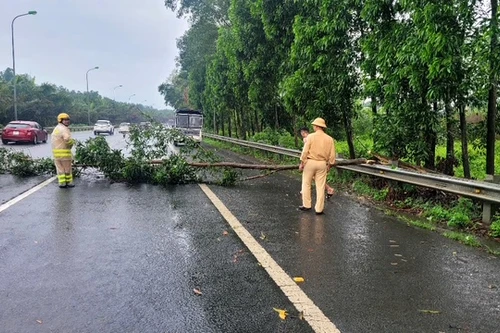 Cảnh sát giao thông xử lý nhiều điểm cây đổ sau mưa giông trên Đại lộ Thăng Long