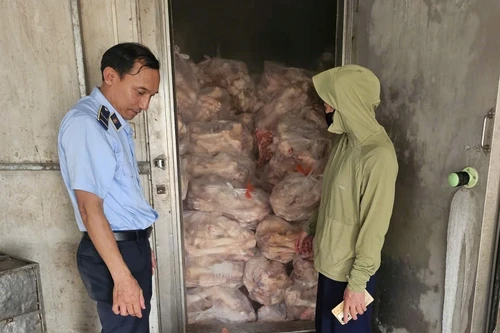 Phát hiện vụ tàng trữ, kinh doanh hơn 3 tấn xương bò