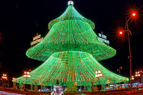 [ẢNH] Việt Nam cũng sở hữu những cây thông độc lạ "như Tây"