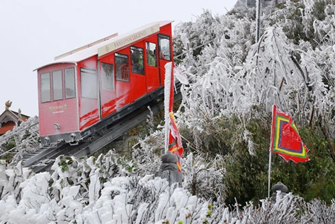 [ẢNH]: Ghé thăm những "thiên đường tuyết trắng" đẹp nhất Việt Nam