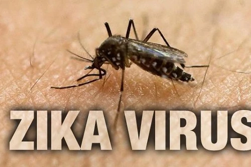 Bộ Y tế Thái Lan trấn an về tình hình lây lan virus Zika
