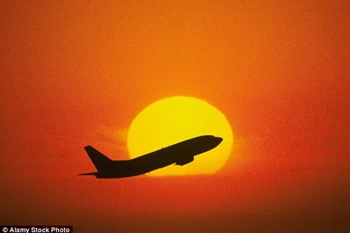 Chim đâm thủng mũi máy bay chở khách