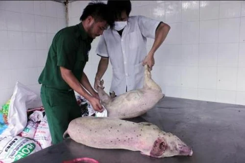 Trưởng phòng kiểm dịch…chuyên ăn tiền