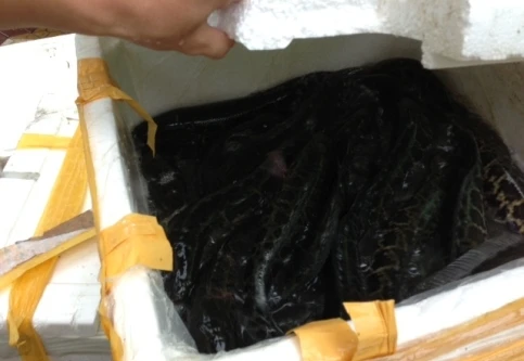 Trắng đêm bắt 2 vụ vận chuyển hàng lậu nguy hiểm