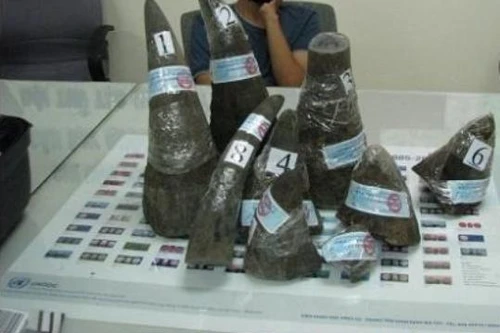 Nghi vấn 19 miếng sừng tê giác “đi” máy bay