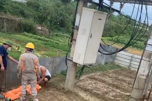 [Tin nhanh sáng 11-7-2021] Cắt trộm dây cáp điện, bị ngã xuống đất tử vong