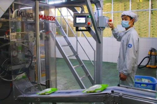 Vietsugar nỗ lực cùng nông dân phát triển vùng nguyên liệu mía 