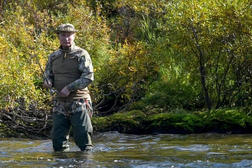 Điện Kremlin: ‘Đến gấu Siberia còn nhận ra ông Putin!’