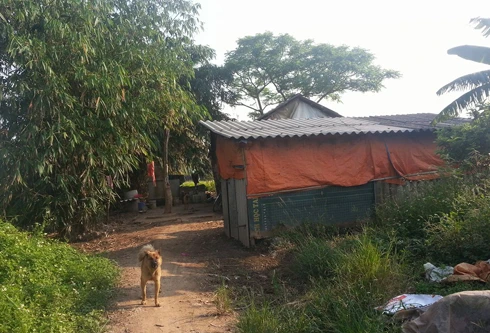 Con mang xe đi cắm, mẹ buồn bã tự thiêu