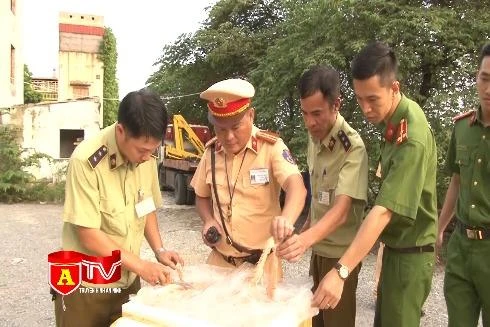 Xe đầu kéo đông lạnh chở gần 30 tấn nội tạng động vật không rõ nguồn gốc