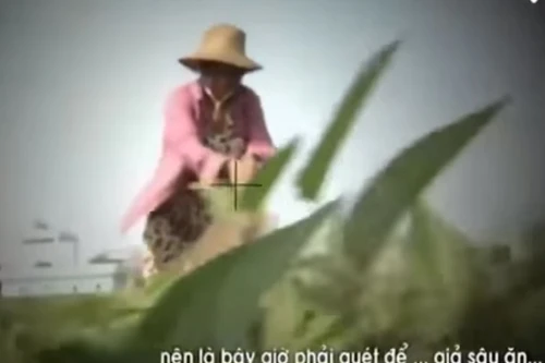 Nếu là dàn dựng thì phóng viên VTV phạm lỗi đưa tin xuyên tạc, sai sự thật