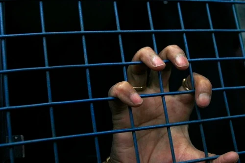 Bắt giữ ông lão mưu sát vợ già bệnh tật