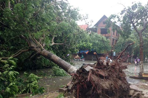 Bão số 1 gây thiệt hại nhiều tỉnh ở khu vực Bắc bộ 