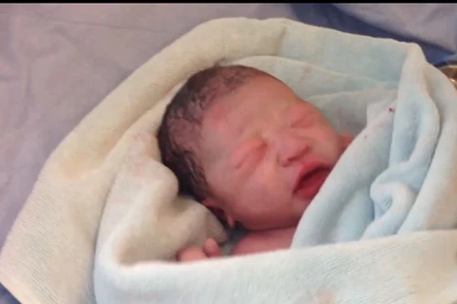 Khoảnh khắc kỳ diệu đầy xúc động khi mầm sống chào đời