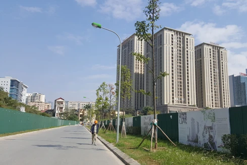 Vì sao cư dân chung cư Home City mới về đã bức xúc?