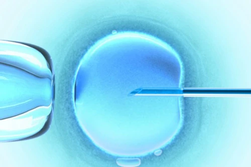Thụ tinh ống nghiệm dễ mang đa thai