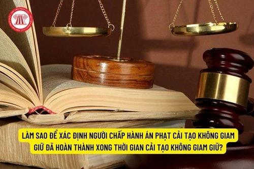 Thông tin cần thiết về thực hiện trình tự, thủ tục giảm thời hạn, miễn chấp hành án phạt cải tạo không giam giữ…