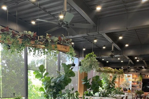 Năm phong cách thiết kế quán cà phê tiêu biểu