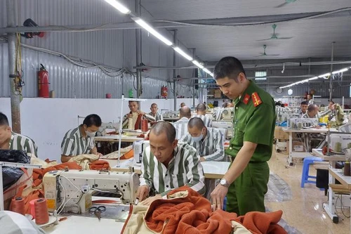 Quản lý, cảm hóa và hướng nghiệp cho phạm nhân