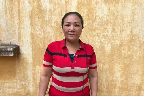 Vết trượt dài của ‘nữ quái’ U60 có 6 tiền án