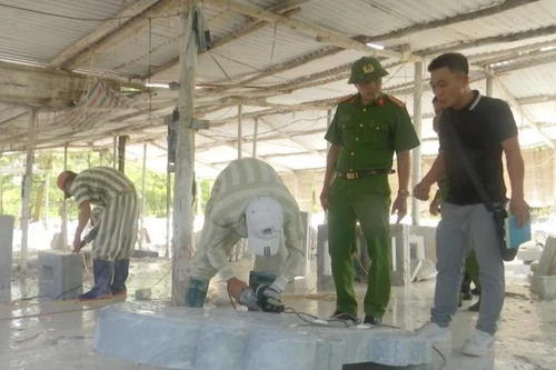 Đứng lên từ chính nơi vấp ngã 