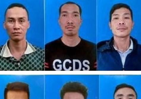 Cặp anh em ruột nghiện hút cầm đầu đường dây trộm cây cảnh trị giá hàng tỷ đồng