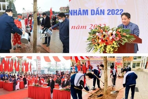 Nâng chỉ tiêu cây xanh, phấn đấu đẩy nhanh lộ trình phát triển lên quận