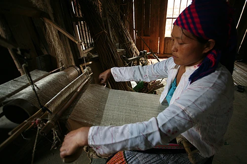 Độc đáo nghề "biến cây" thành vải