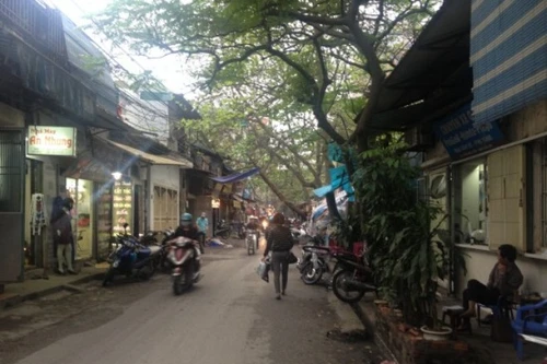 Di chuyển, chặt hạ 42 cây xanh thuộc Công viên Thống Nhất