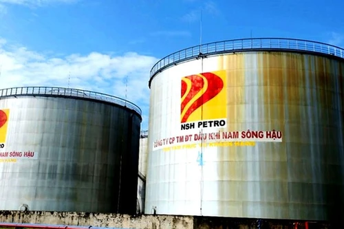 Bị đình chỉ giao dịch, cổ phiếu giảm sàn liên tiếp, Dầu khí Nam Sông Hậu (PSH) khắc phục ra sao?
