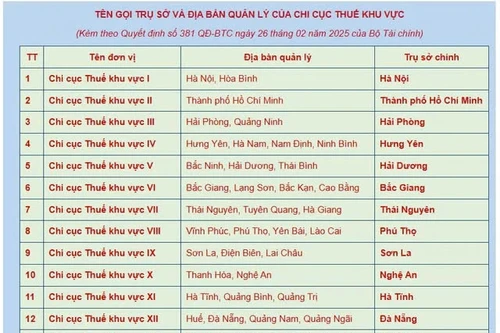 Tổ chức lại 20 Chi cục Thuế thành 34 Thuế Nhà nước tỉnh, thành phố trực thuộc trung ương