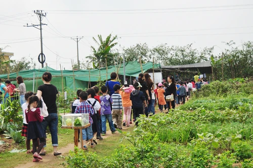 Học sinh dã ngoại đầu năm: Cần thiết nhưng phải an toàn