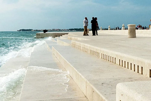 Cây đàn biển khổng lồ