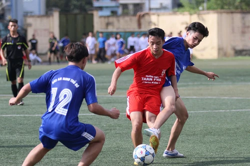 Chờ những bất ngờ thú vị