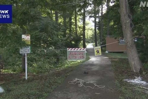 Phát hiện 3 con gấu, di tích cổ ở Nhật Bản phải tạm đóng cửa