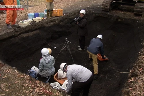 Khai quật những ngôi nhà bị tro bụi núi Phú Sĩ chôn vùi cách đây hơn 300 năm