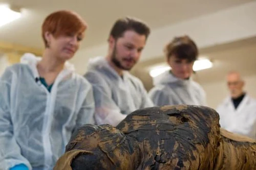 Ba Lan phát hiện xác ướp Ai Cập có thai