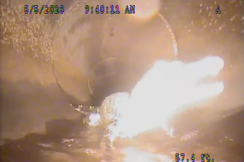 Cá sấu vội vàng tháo chạy khi gặp camera robot