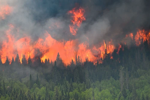 Cháy rừng ở Canada khiến lượng phát thải CO2 tăng cao