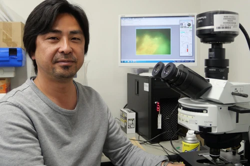 Có thể đã phát hiện vi khuẩn sống trong tầng địa chất 2 tỷ năm tuổi 