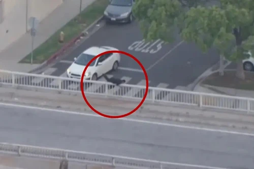 Bị cảnh sát truy đuổi gắt gao, nghi phạm bỏ lại xe rồi tẩu thoát