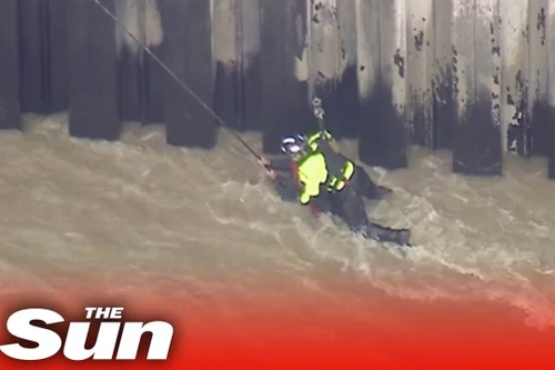 Cảnh giải cứu ngoạn mục người đàn ông dưới dòng nước chảy xiết