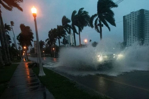 Bão Milton gây mưa ‘nghìn năm có một’, sóng biển cao gần chục mét khi đổ bộ Florida, Mỹ