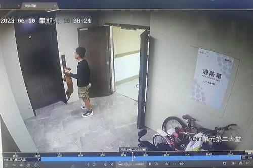 Kịp thời giải cứu chú chó bị kẹt dây xích vào cửa thang máy 