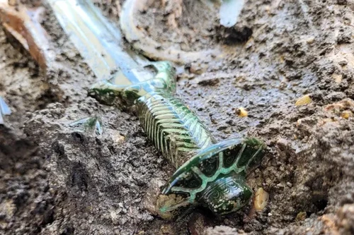 Phát hiện thanh kiếm đồng gần như còn sáng bóng sau hơn 3.000 năm 